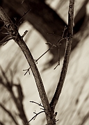 Wall_Art_Alphabet_Photography_Art_ 2321